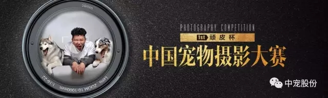 传奇国际(中国)创新科技有限公司