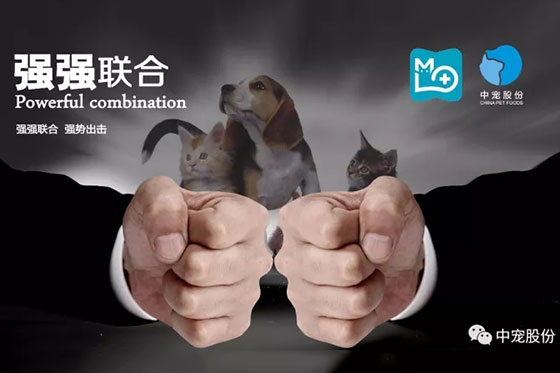 传奇国际(中国)创新科技有限公司
