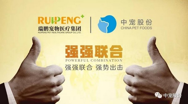 传奇国际(中国)创新科技有限公司