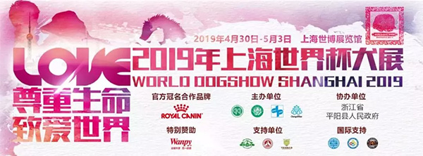 传奇国际(中国)创新科技有限公司