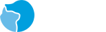 传奇国际官网股份