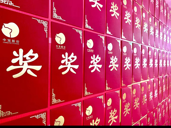 传奇国际(中国)创新科技有限公司