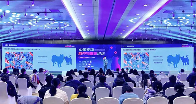 传奇国际(中国)创新科技有限公司