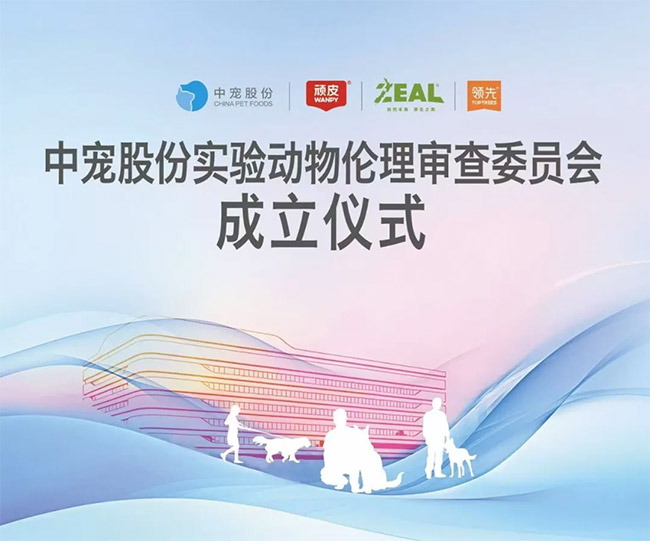 传奇国际(中国)创新科技有限公司